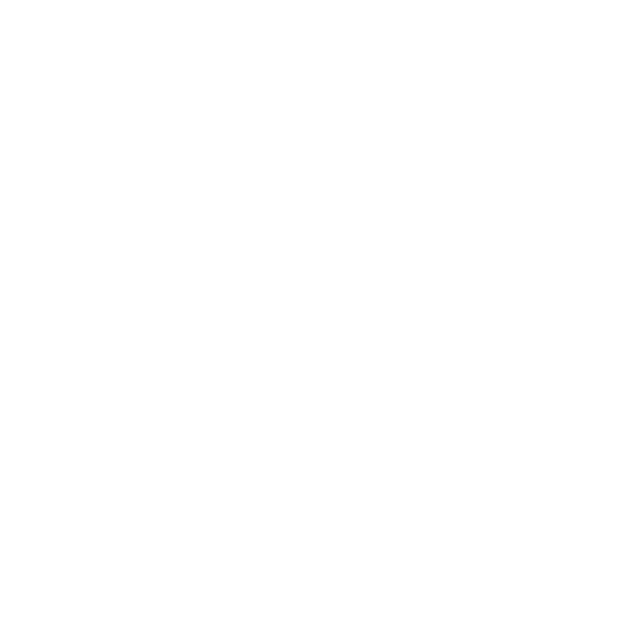 AMP sayfalarının versiyonu